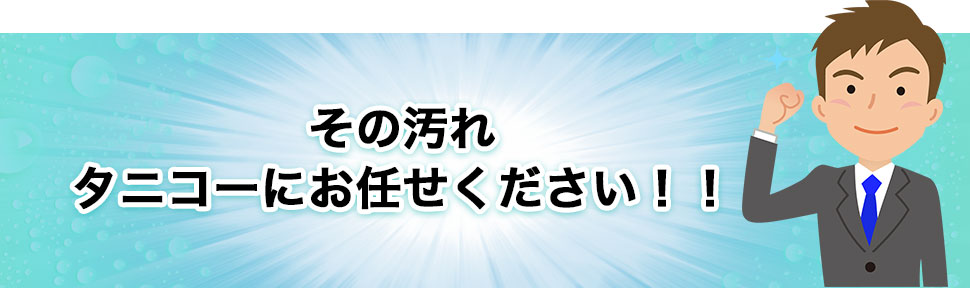 タニコー「その汚れタニコーにお任せください！！」